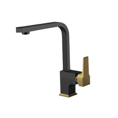 AQUA EVYE BATARYASI - SİYAH/ALTIN - Newarc